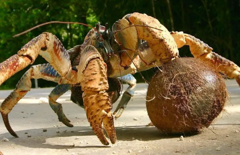 1697437644993807.png 微信截图_20230731101828.png