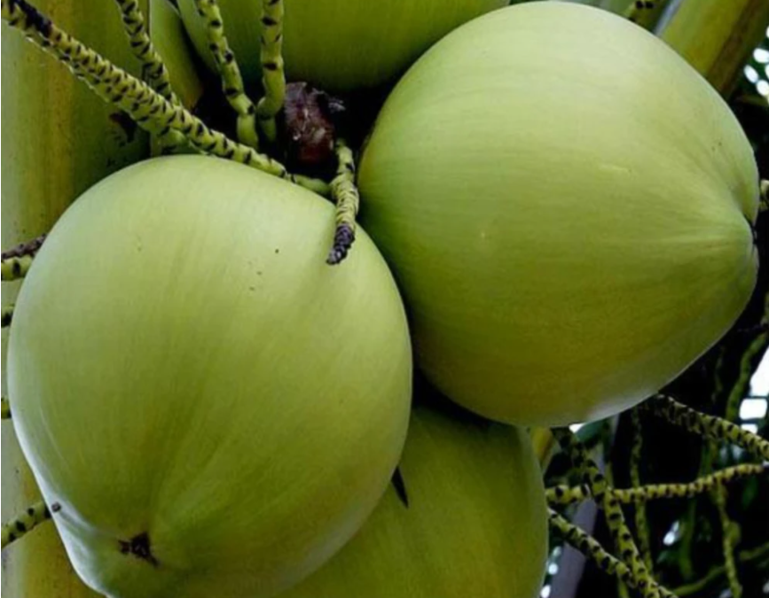 1697438449174880.png 微信截图_20230802105900.png