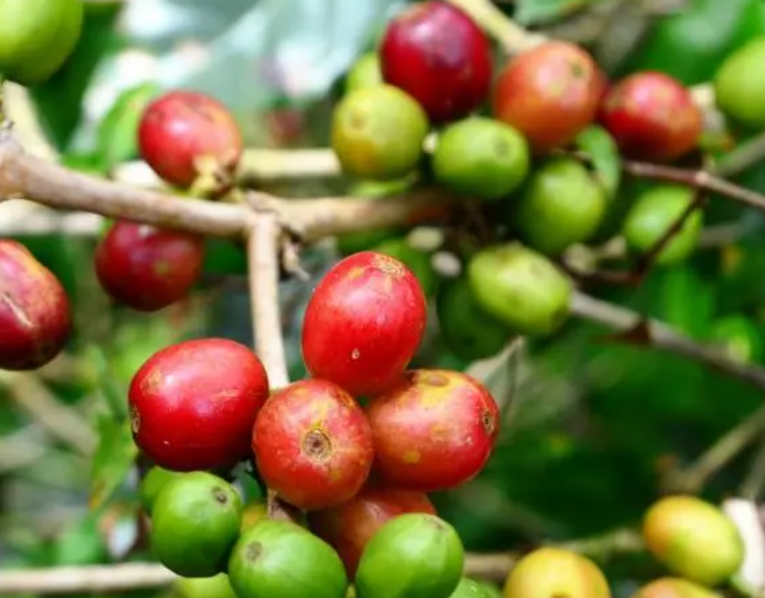 1697439538480221.png 微信截图_20230818104000.png