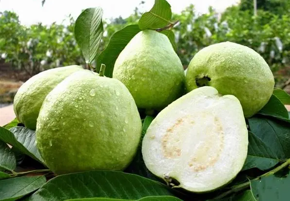 1697439703262317.png 微信截图_20230818105720.png