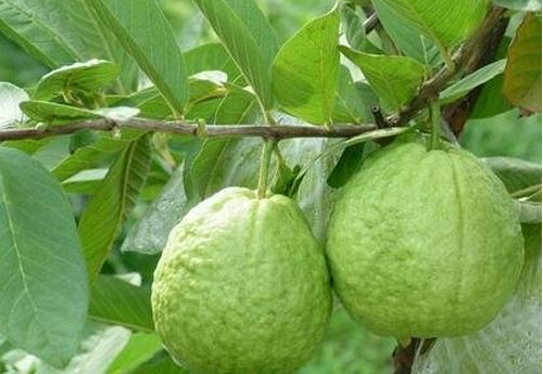 1697439931833000.png 微信截图_20230821113648.png