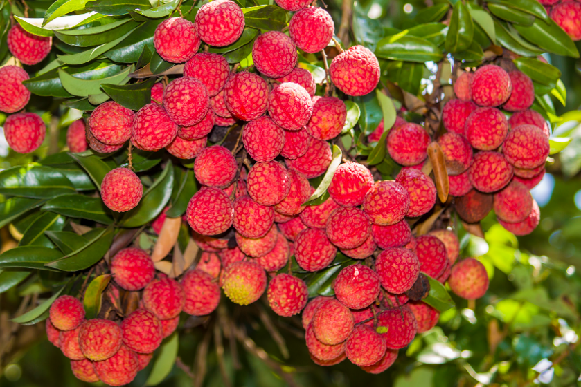 1697440140166467.png 微信截图_20230822135405.png