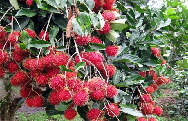 1697440243777888.png 微信截图_20230823151625.png