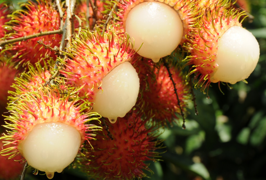 1697440252770296.png 微信截图_20230823151412.png