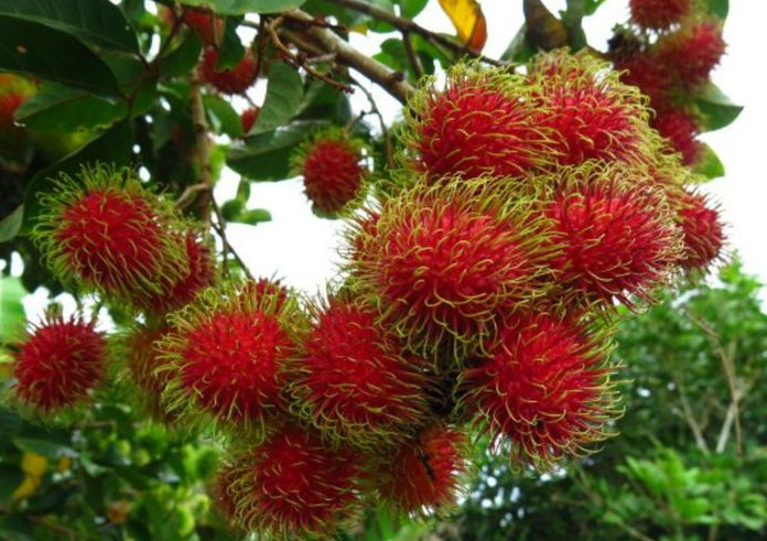 1697440268585858.png 微信截图_20230823151528.png