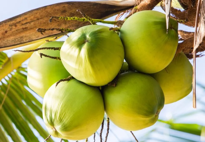 1697440393402637.png 微信截图_20230817143337.png