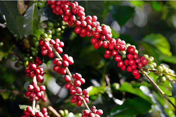 1697440506391155.png 微信截图_20230818103858.png