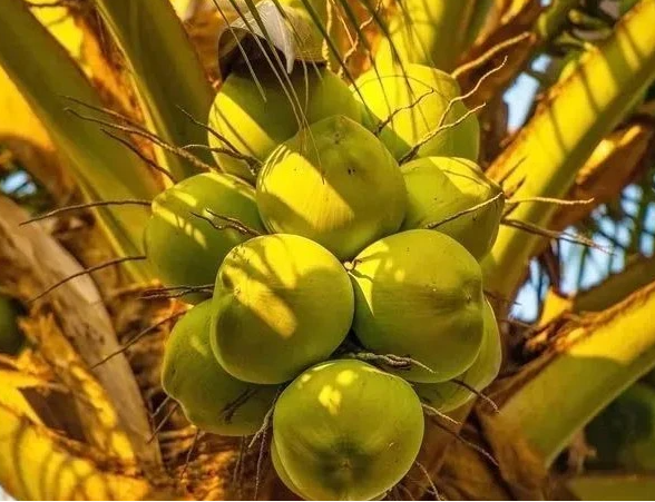 1697440846531255.png 微信截图_20230904161324.png