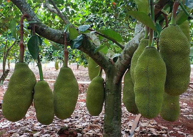 1697441309119622.png 微信截图_20230808142832.png