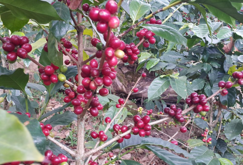 1697441761137627.png 微信截图_20230920153307.png