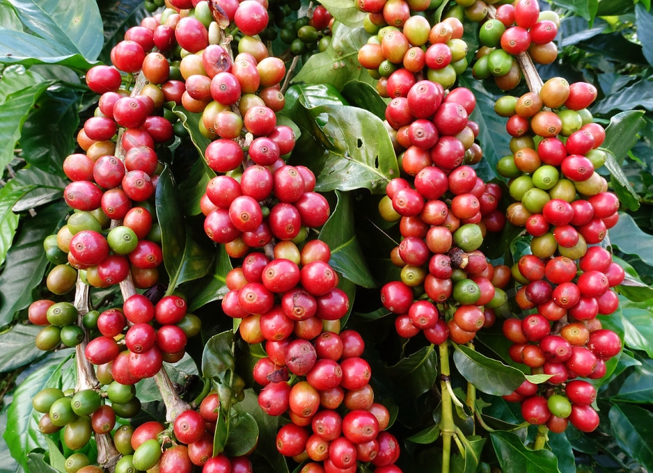 1697442244166977.png 微信截图_20230926160604.png