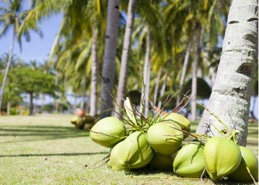 1698135343552130.png 微信截图_20231024161415.png