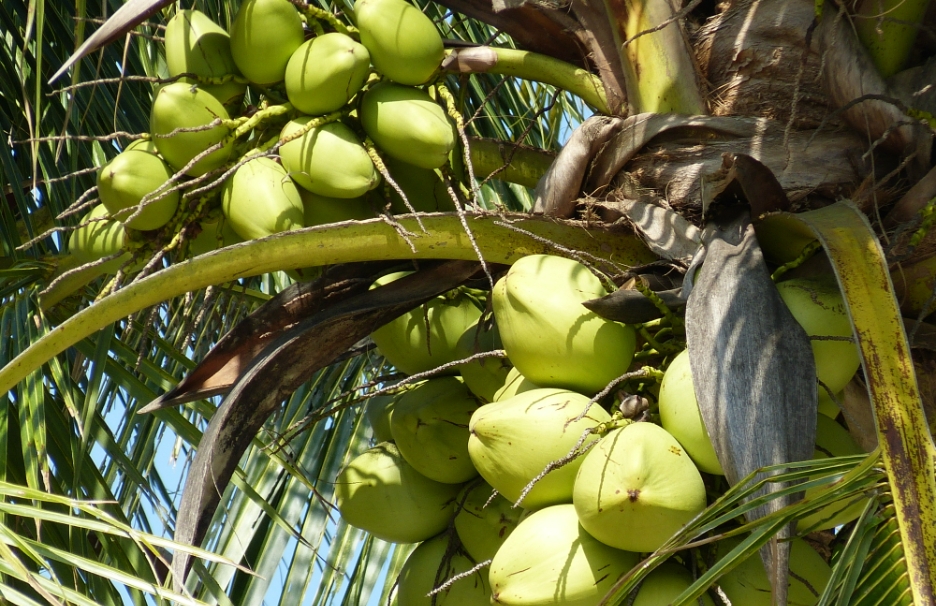 1698135353958565.png 微信截图_20231024161449.png