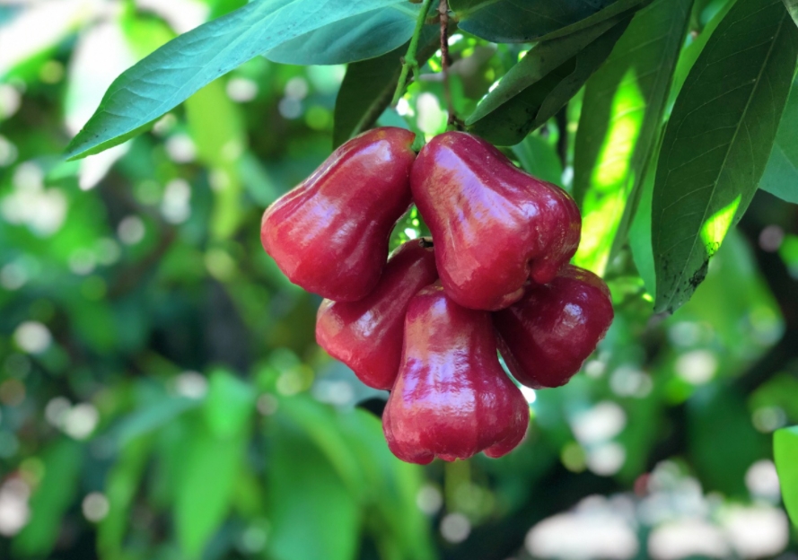 1699517290504184.png 微信截图_20231101145332.png