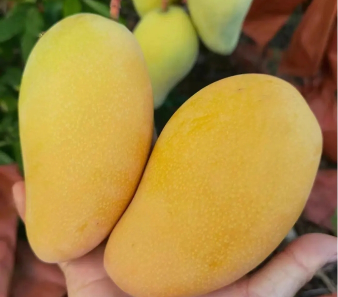 1700116448207520.png 微信截图_20231113114301.png