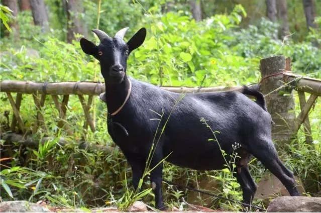 1707356681976117.png 微信截图_20240206112225.png