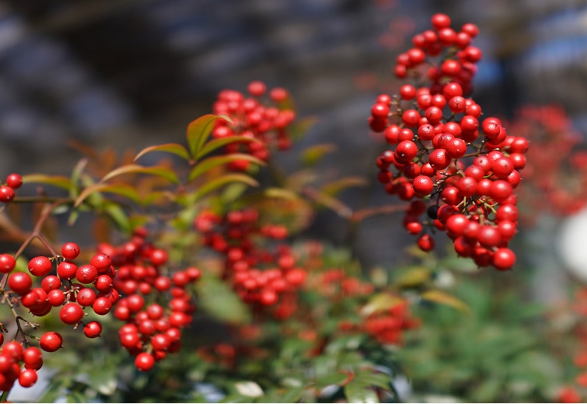 1709709650536136.png 微信截图_20240302142427.png