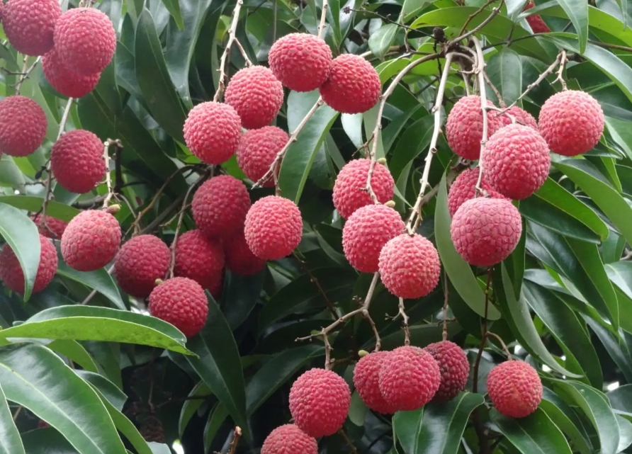 1715238120638235.png 微信截图_20240509104029.png