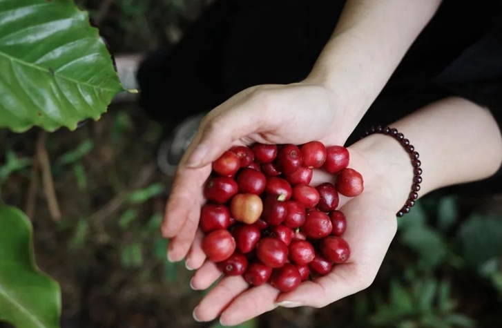 1715328546408380.png 微信截图_20240510102539.png