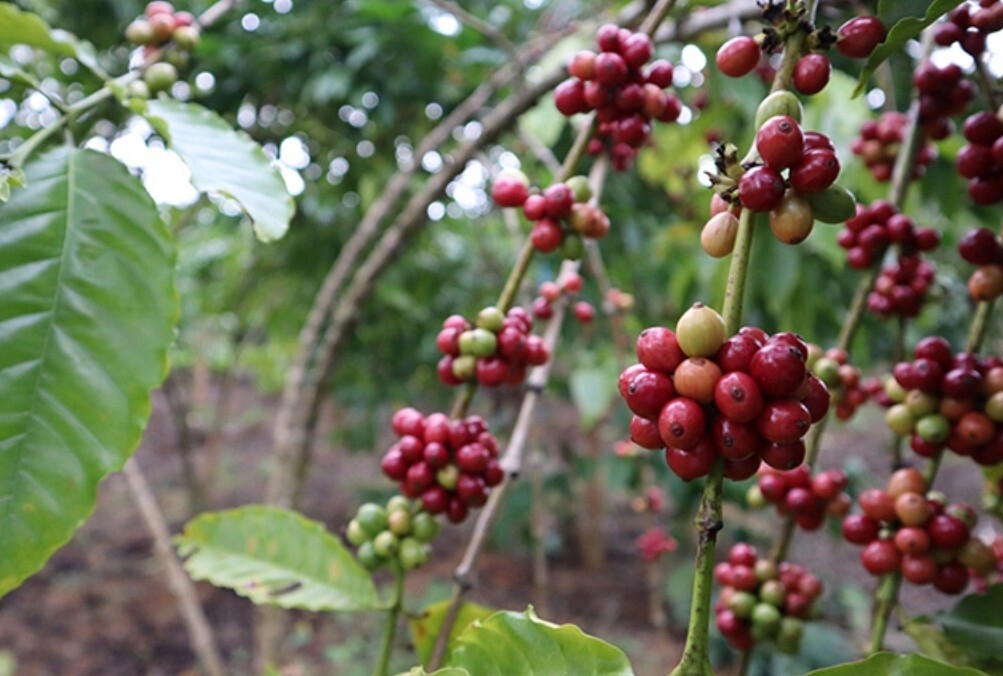 1715328552151806.png 微信截图_20240510102606.png