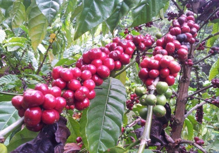 1715328558653130.png 微信截图_20240510102703.png