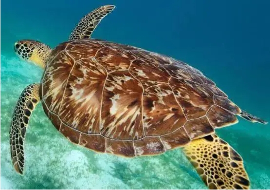 1715329074703219.png 微信截图_20240510151645.png