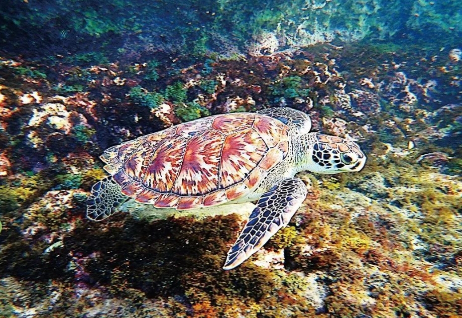 1715329088365830.png 微信截图_20240510152037.png