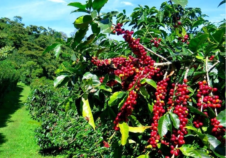 1715755495221951.png 微信截图_20240515115513.png