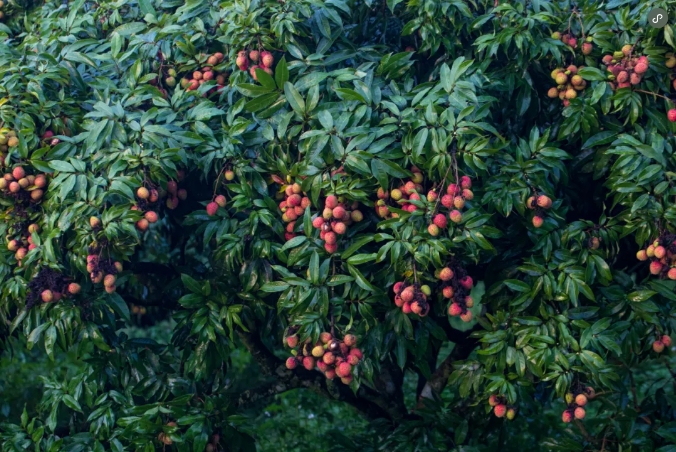 1715843563530128.png 微信截图_20240515154015.png