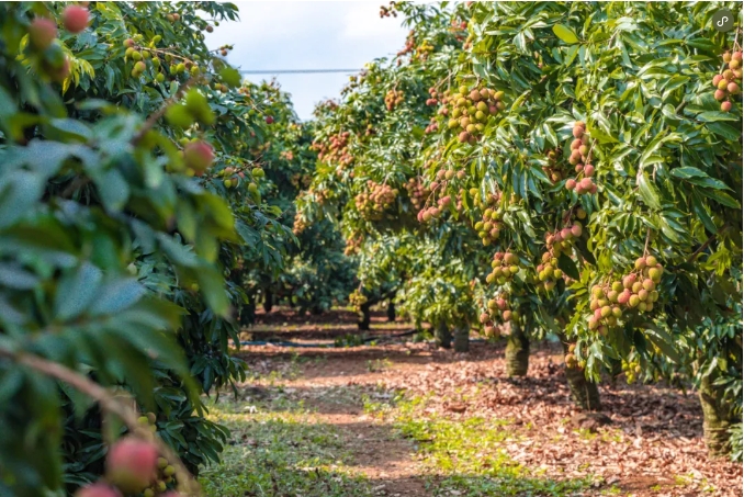 1715843571196481.png 微信截图_20240515154046.png