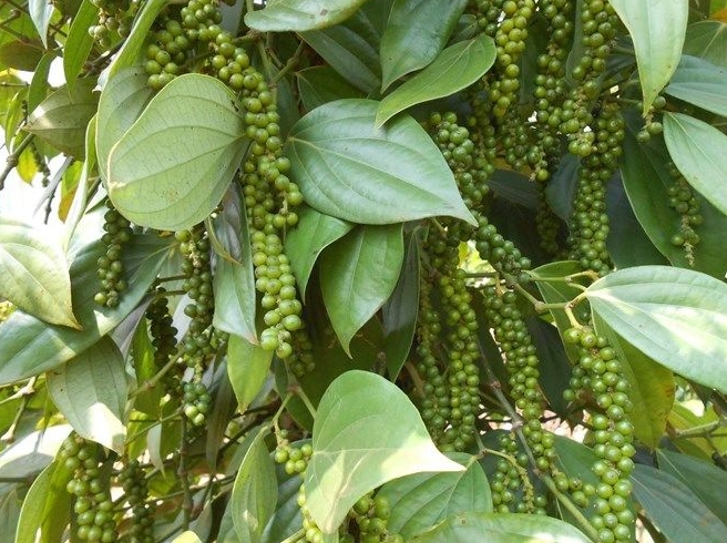 1715844205921174.png 微信截图_20240516143503.png