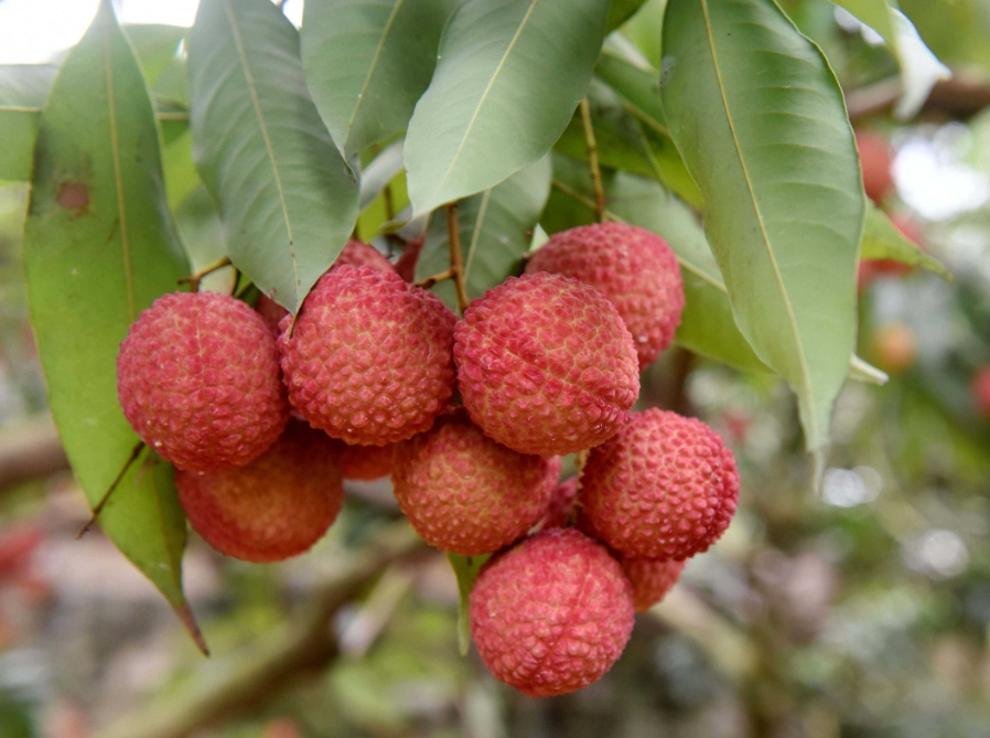 1716002767549947.png 微信截图_20240518110604.png