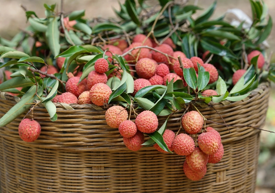 1716002775279762.png 微信截图_20240518110625.png