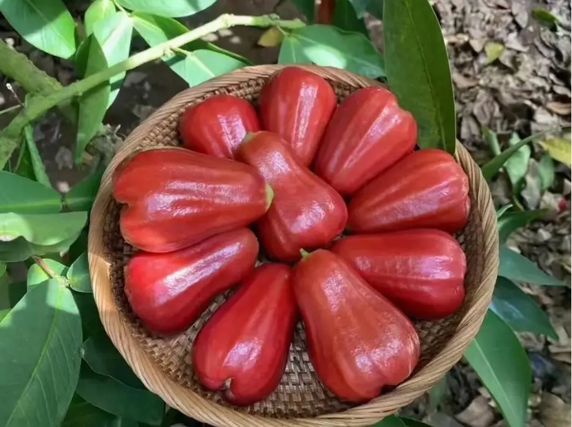 1716189286487354.png 微信截图_20240520145402.png