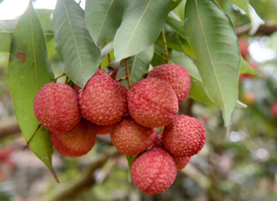 1716538171383771.png 微信截图_20240524103705.png