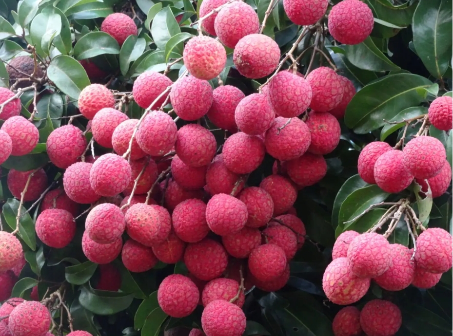 1716538180966972.png 微信截图_20240524104032.png