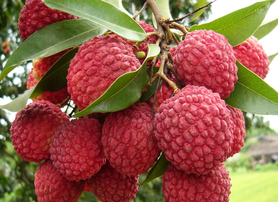 1716538189594885.png 微信截图_20240524104050.png