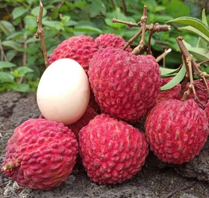 1717481954320241.png 微信截图_20240531151732.png