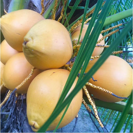 1717574847998520.png 微信截图_20240605152638.png