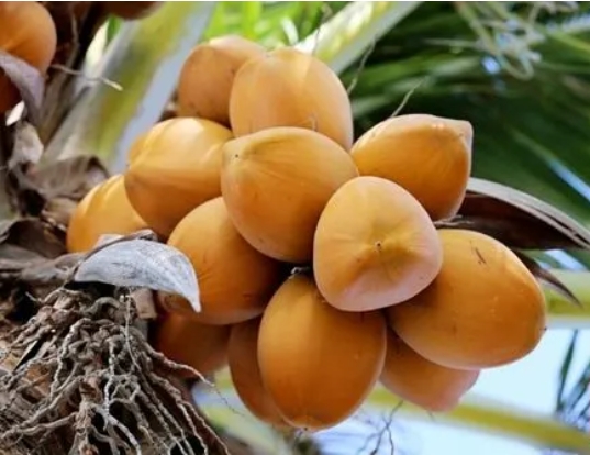 1717574852109757.png 微信截图_20240605152708.png