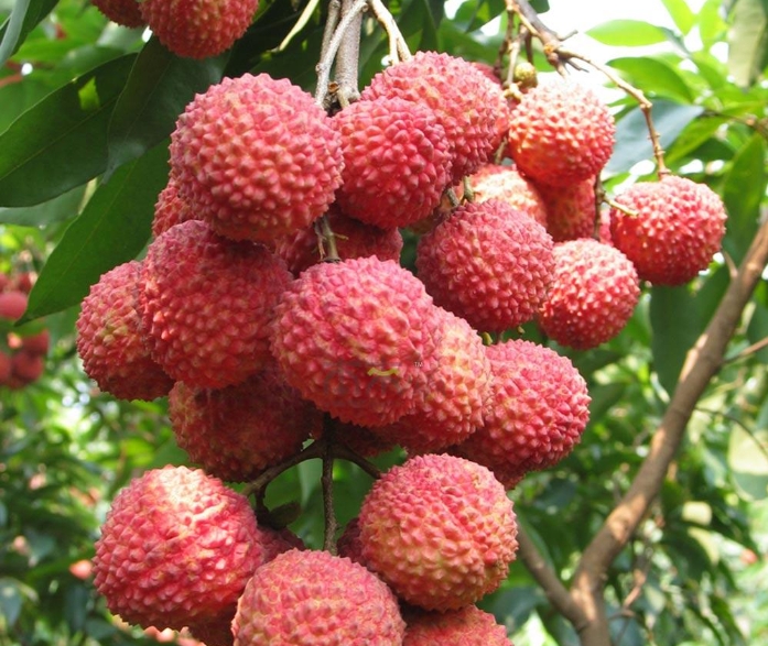 1718180016305728.png 微信截图_20240612152837.png