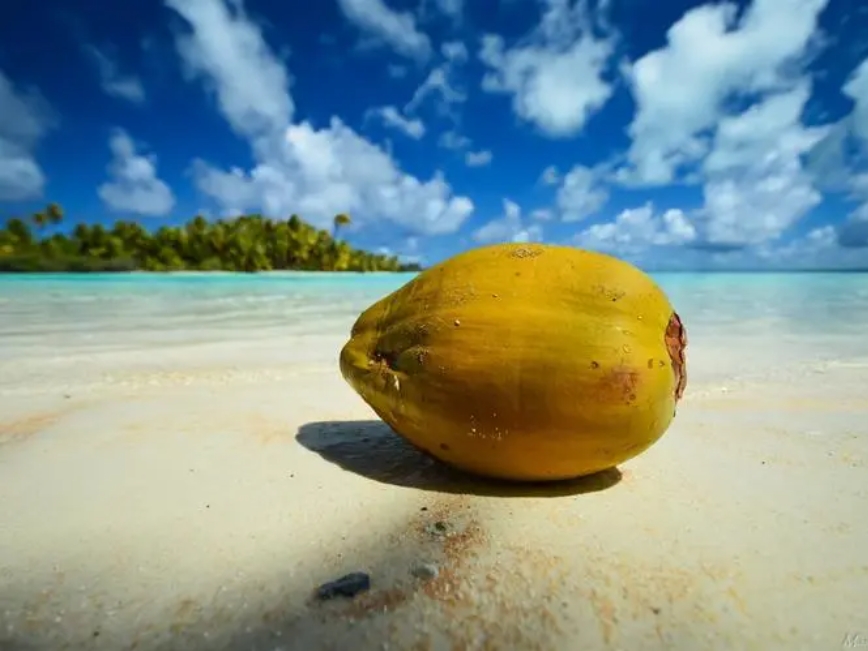 1719302936492664.png 微信截图_20240624161913.png