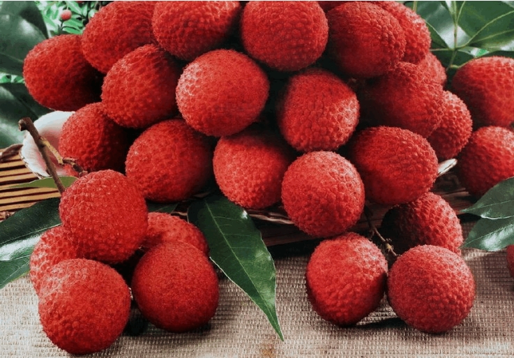 1719388781157586.png 微信截图_20240624170342.png