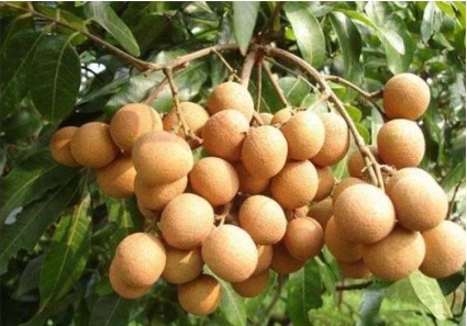 1719389833314400.png 微信截图_20240624171629.png