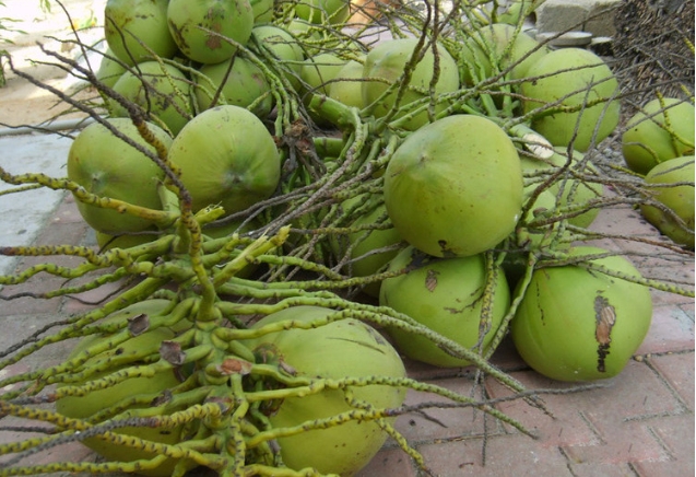 1720595517145762.png 微信截图_20240709150308.png