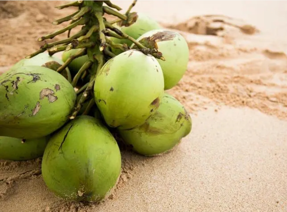 1720595522294401.png 微信截图_20240709150139.png