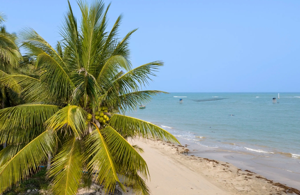 1721204439661467.png 微信截图_20240716170756.png