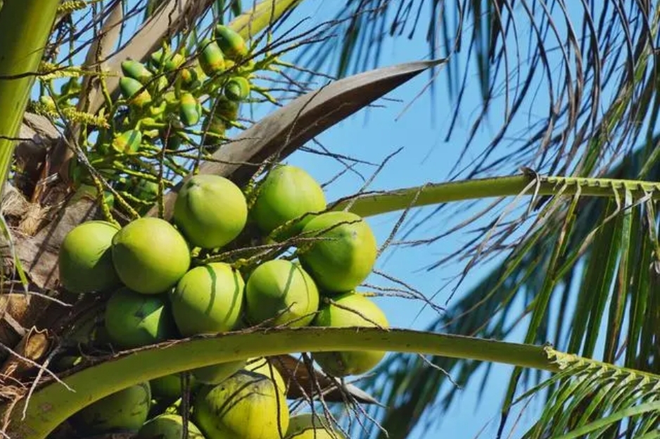 1721204451483902.png 微信截图_20240716170958.png