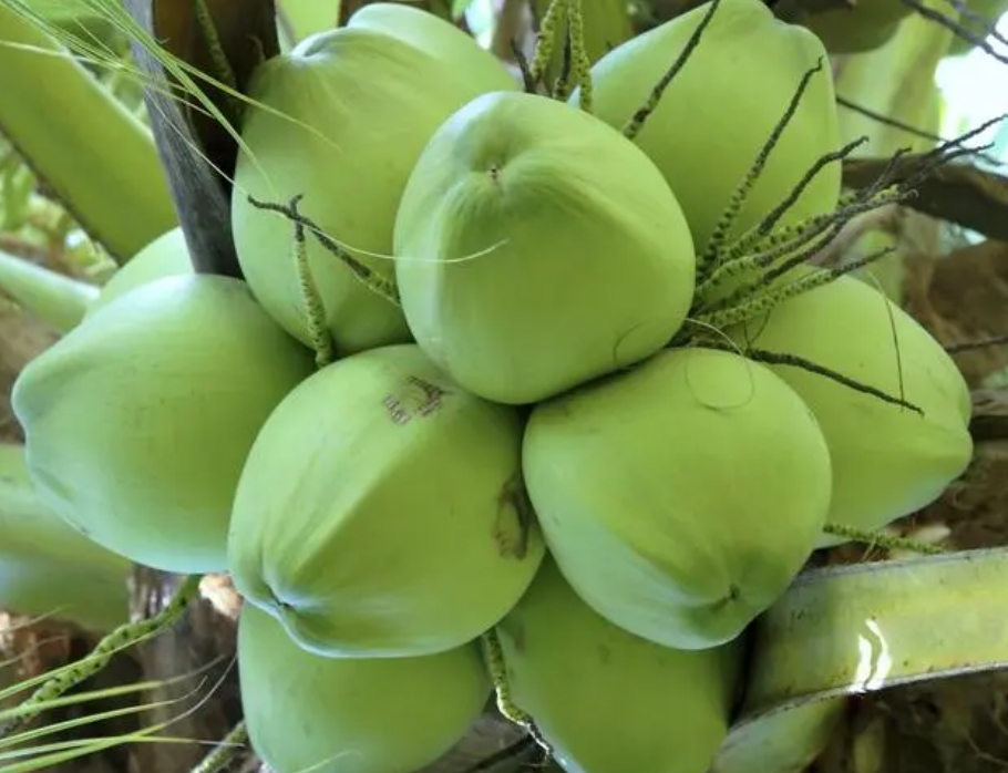 1721959546759439.png 微信截图_20240725103724.png