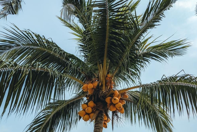 1722581605655579.png 微信截图_20240731160419.png